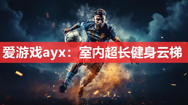 爱游戏ayx：室内超长健身云梯