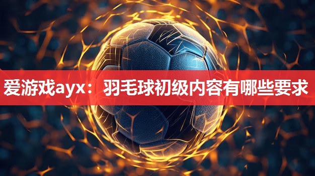 爱游戏ayx：羽毛球初级内容有哪些要求